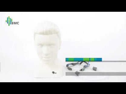 BMC P2 Nasal Pillow Mask